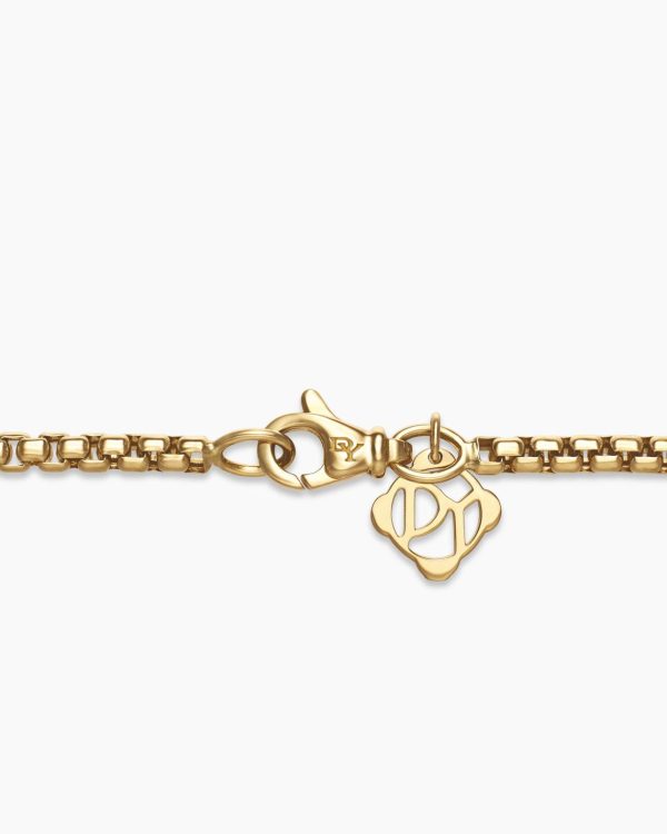 Newcrea.shop5dbd960a2d 5